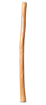 Medium Size Natural Finish Didgeridoo (TW1532)